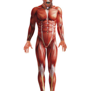 Anatomy Man Costume, Red