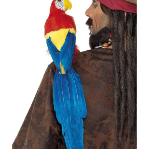 Parrot 50cm / 20in, Multi-Coloured