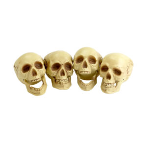 Skull Heads, Natural