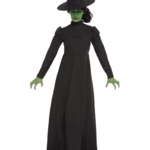 Wicked Witch Costume, Black