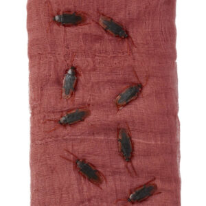 Cockroach Creepy Cloth Kit