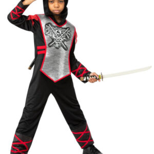 Deluxe Dragon Ninja Costume
