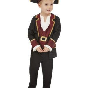 Deluxe Swashbuckler Pirate Costume