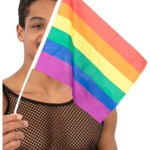 Hand Held Rainbow Flags, 45x30cm, 12Pk