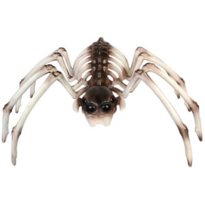 Spider Skeleton Prop